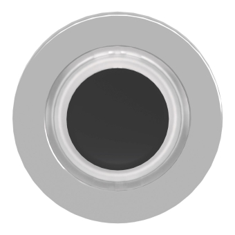 Schneider Frontelement          ZB4FW913 