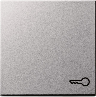 GIRA 028726 Wippe Symbol Tür System 55 