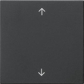 GIRA 5389005 Wippe 1fach Pfeile 