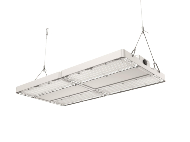 DOTLUX                       6231-040085 