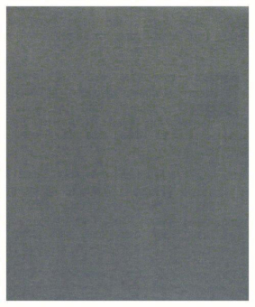 Bosch Schleifblatt C355       2608608H67 