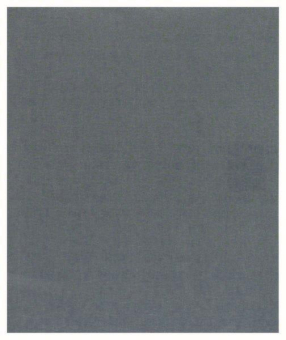 Bosch Schleifblatt C355       2608608H68 