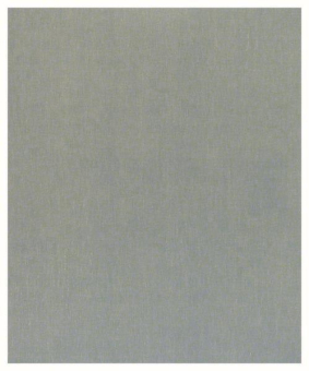 Bosch Schleifblatt C355       2608608H69 