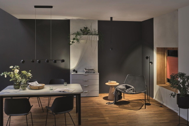 PAULM Pendelleuchte Puric Pane     79773 