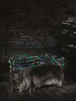 LED Mini-Lichterschlauch 20m    3090-500 