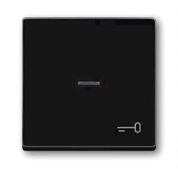 BJ Wippe Schlüssel             1789TR-81 