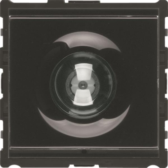 ELCOM Video-Modul EB 2D          REU610Y 