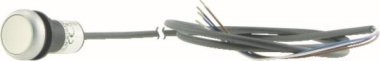 EATON C22-DR-W-K10-P65 Drucktaste 185628 