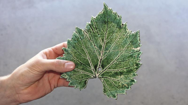 BEKO Allbond-Fluid 10 g PE-Flasche 26110 