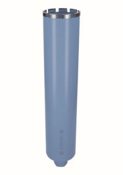 Bosch 2608601734         DIA BK NASS Ø32 