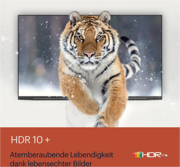 Grundig 55CUA7390 Mailand anth LED-TV FH 