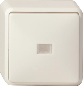 GIRA 011613 Wipp-Kontrollschalter 