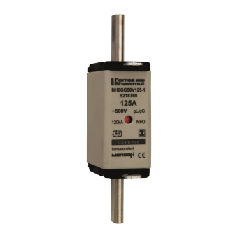 Mersen 1F065.000000 NH0 125A gG 500V 