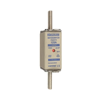 Mersen 1A163.000000 NH1 100A gG 400V 