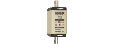 Mersen 1G765.000000 NH00 125A gG 690V 