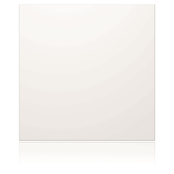 Ritto Portier Blindmodul weiß    1876670 