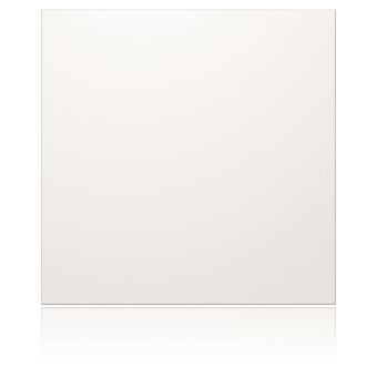 Ritto Portier Blindmodul weiß    1876670 