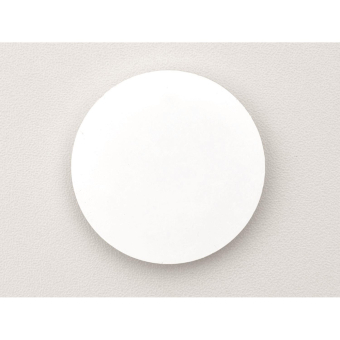 Ritto Scheibe                    1229795 