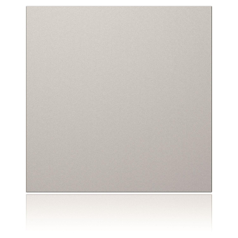 Ritto Portier Blindmodul silber  1876620 