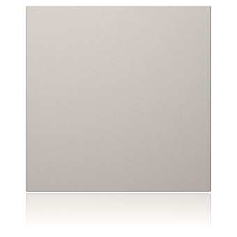 Ritto Portier Blindmodul silber  1876620 