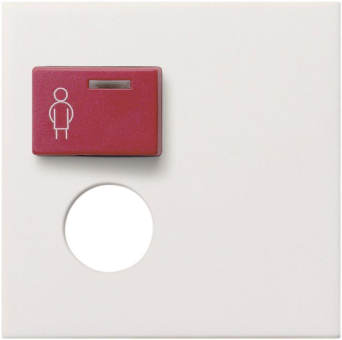 GIRA 022703 Abdeckung Ackermann 73073E/ 