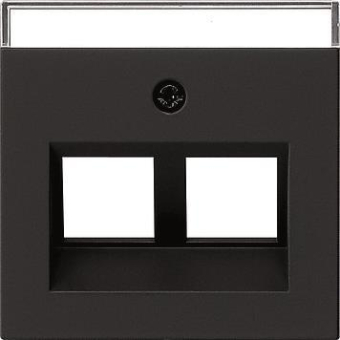 GIRA 2640005 Abdeckung 30°+BSF Tragring 