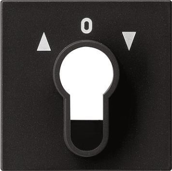 GIRA 0664005 Abdeckung Schlüsselschalter 