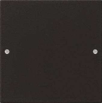 GIRA 2181005 Wippenset 1fach System 55 