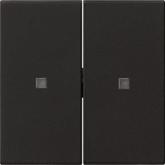 GIRA 5369005 Wippe 2fach unbedruckt KF 