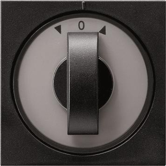 GIRA 0666005 Abdeckung Knebel Zeitsch.+ 