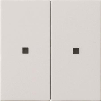 GIRA 536927 Wippe 2fach unbedruckt KF 