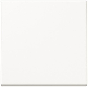 JG Wippe Wechsel                  A590WW 