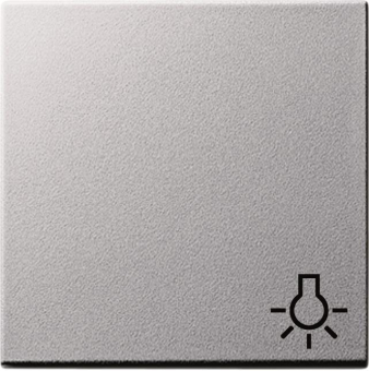 GIRA 028526 Wippe Symbol Licht System 55 