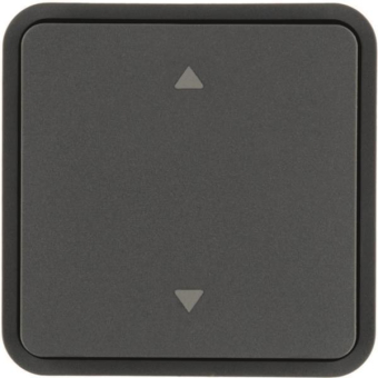Hager Wippe 1f f.Taster BA AP     WNT942 