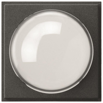 GIRA 141567 Abdeckung Farbkamera TX_44 