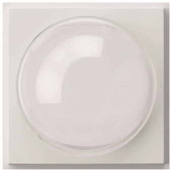 GIRA 141566 Abdeckung Farbkamera TX_44 