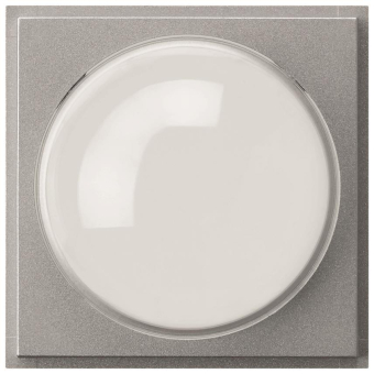 GIRA 141565 Abdeckung Farbkamera TX_44 