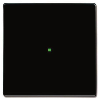 BJ Wippe 1-fach               6230-10-81 