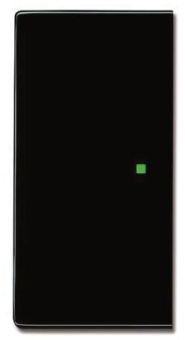 BJ Wippe 2-fach               6230-20-81 