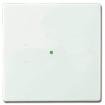 BJ Wippe 1-fach               6230-10-84 