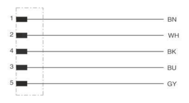 Phoenix      SACC-E-M12MS-5CON-M16/0,5 P 