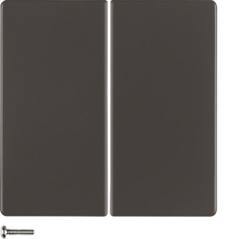 Berker KNX-Funk Taste 2fach     85146126 