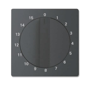 BJ Zentralscheibe schwarz   1770-885-103 