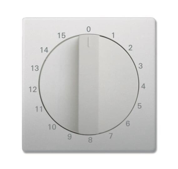 BJ Zentralscheibe edelstahl 1770-866-103 