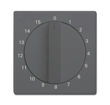 BJ Zentralscheibe anthrazit  1770-81-103 