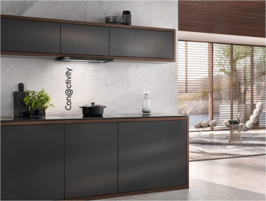 Miele DAS 4620 matt sw Wandesse 