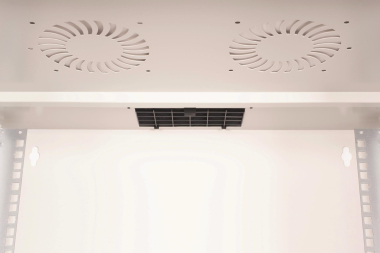 Assmann 19" 12HE Wandgehäuse    DN-49206 