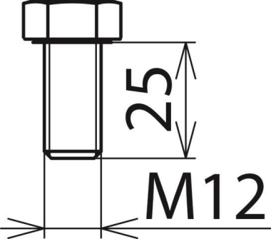 Dehn Sechskantschraube    SKS M12X25 V2A 