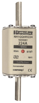 Mersen 1C173.000000 NH1 224A gG 690V 