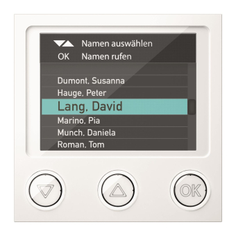 Ritto Portier Displaymodul    RGE1879170 